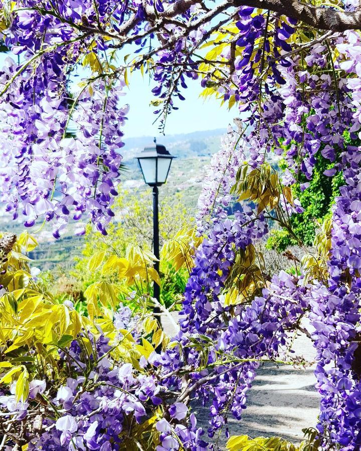 Отель Quinta Do Cabouco Рибейра-Брава Экстерьер фото